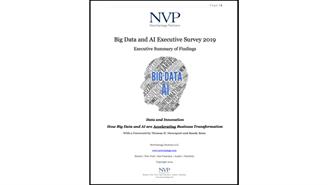 Big-Data-Executive-Survey-2019-Findings